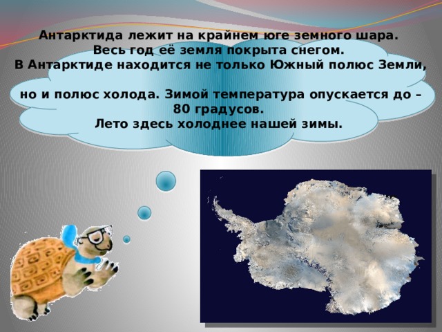 Окружающий мир 1 класс где живут белые медведи презентация школа россии