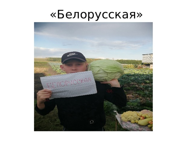 «Белорусская» 