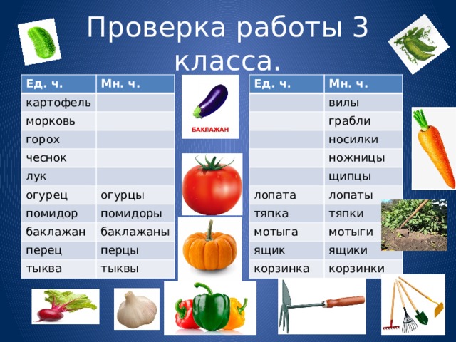 Морковь множественное число. Картошка множественное число. Овощи во множественном числе. Морковь во множественном числе в русском языке.