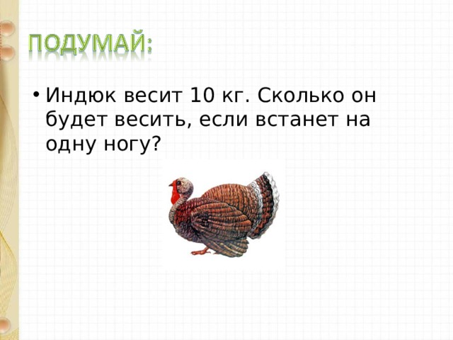 Сколько весят колодки