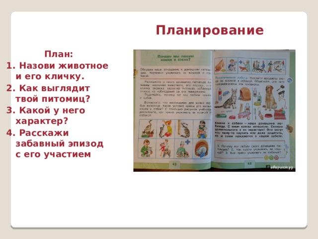 Планирование План: 1. Назови животное и его кличку. 2. Как выглядит твой питомиц? 3. Какой у него характер? 4. Расскажи забавный эпизод с его участием 