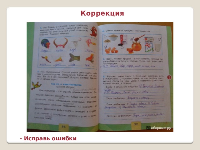 Коррекция - Исправь ошибки 