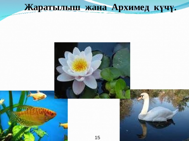  Жаратылыш жана Архимед күчү. 15  