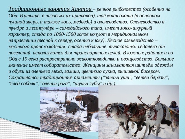 Традиционные занятия Хантов – речное рыболовство (особенно на Оби, Иртыше, в низовьях их притоков), таёжная охота (в основном пушной зверь, а также лось, медведь) и оленеводство. Оленеводство в тундре и лесотундре – самодийского типа, имеет мясо-шкурный характер, стада по 1000-1500 голов кочуют в меридиональном направлении (весной к северу, осенью к югу). Лесное оленеводство – местного происхождения: стада небольшие, выпасаются недалеко от поселений, используются для транспортных целей. В южных районах и по Оби с 19 века распространено животноводство и овощеводство. Большое значение имеет собирательство. Женщины занимаются шитьём одежды и обуви из оленьего меха, замши, цветного сукна, вышивкой бисером. Сохраняются традиционные орнаменты (