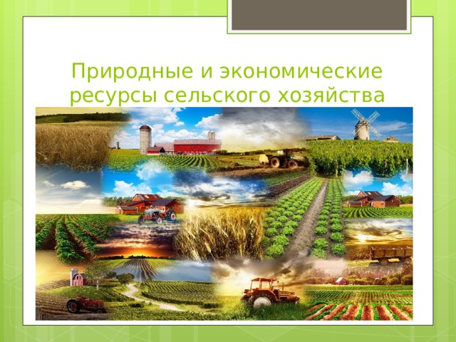 Природные и экономические ресурсы сельского хозяйства 