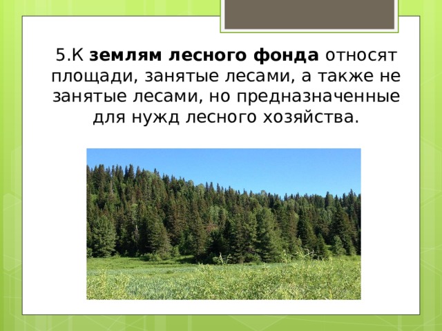 5.К  землям лесного фонда  относят площади, занятые лесами, а также не занятые лесами, но предназначенные для нужд лесного хозяйства. 