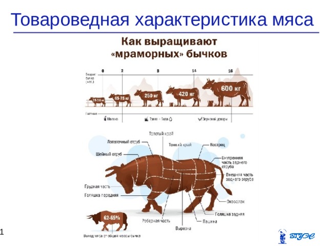 Классификация мяса схема