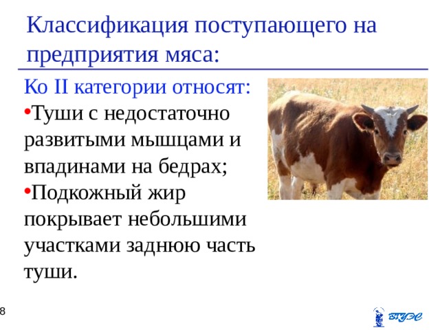 Классификация поступающего на предприятия мяса: Ко II категории относят: Туши с недостаточно развитыми мышцами и впадинами на бедрах; Подкожный жир покрывает небольшими участками заднюю часть туши.  