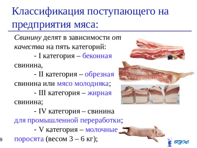 Говядина категории б. Классификация свинины по упитанности. Категории мяса свинины таблица. Говядина по упитанности делится на категории. Классификация мяса по категориям.