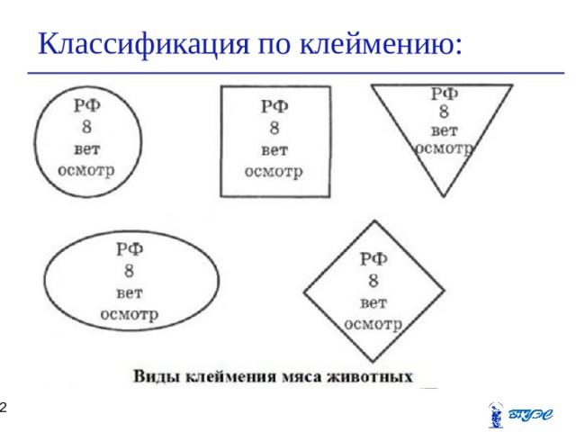 Первая вторая третья четвертая позиция. Виды клейма на мясе. Штампы для клеймения мяса. Порядок клеймения мяса. Клеймение и маркировка мяса.