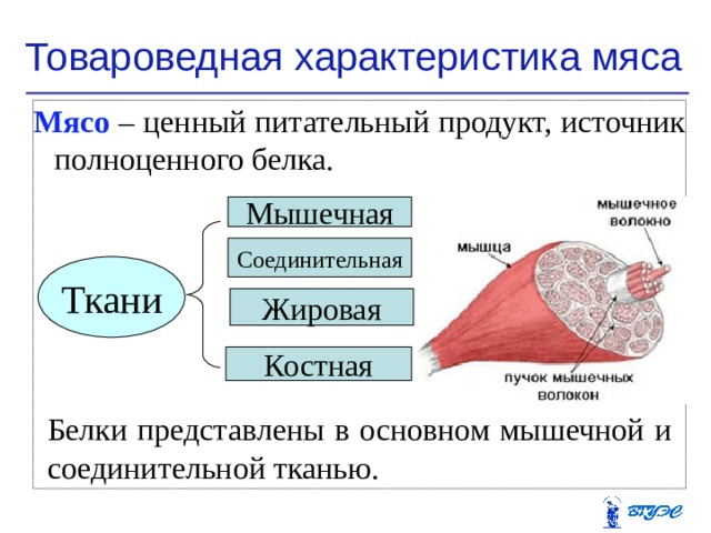 Характеристика мяса