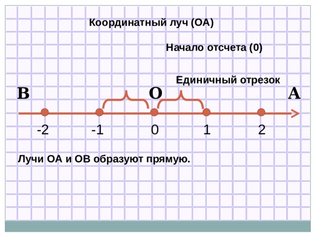 Координатный луч (ОА) Начало отсчета (0) Единичный отрезок В А О -1 2 1 0 -2 Лучи ОА и ОВ образуют прямую.   