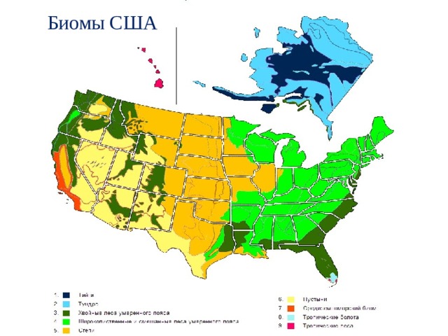 Биомы США 