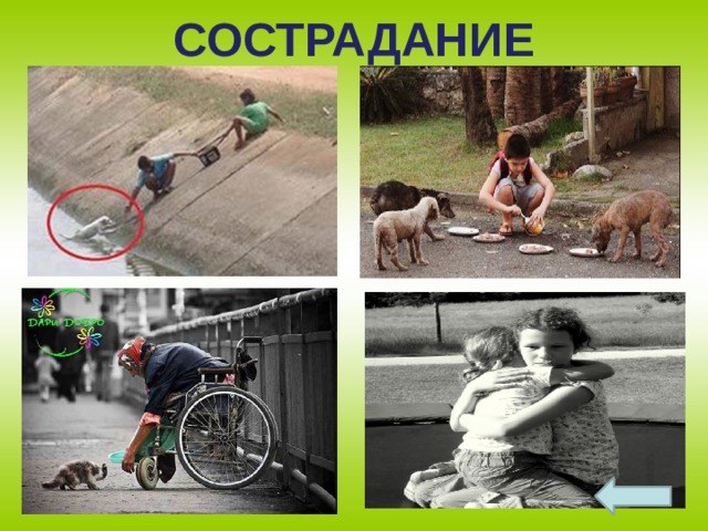 Картинка про сострадание