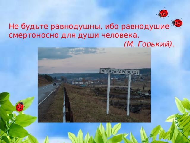 Не будьте рав­нодушны, ибо равнодушие смертоносно для души человека.  (М. Горький). 