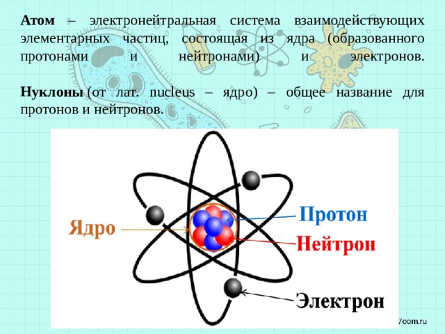 Атом – электронейтральная система взаимодействующих элементарных частиц, состоящая из ядра (образованного протонами и нейтронами) и электронов.   Нуклоны  (от лат. nucleus – ядро) – общее название для протонов и нейтронов. 