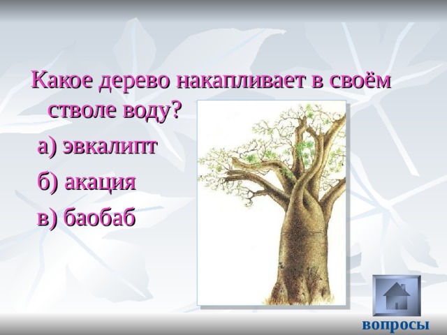Стрелками укажите районы произрастания растений нарисованных на картинках пальма и лиана баобаб