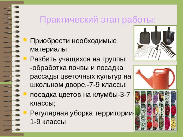 Практический этап работы: Приобрести необходимые материалы Разбить учащихся на группы: -обработка почвы и посадка рассады цветочных культур на школьном дворе.-7-9 классы; посадка цветов на клумбы-3-7 классы; Регулярная уборка территории-1-9 классы 