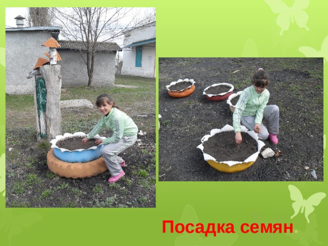 Посадка семян . 