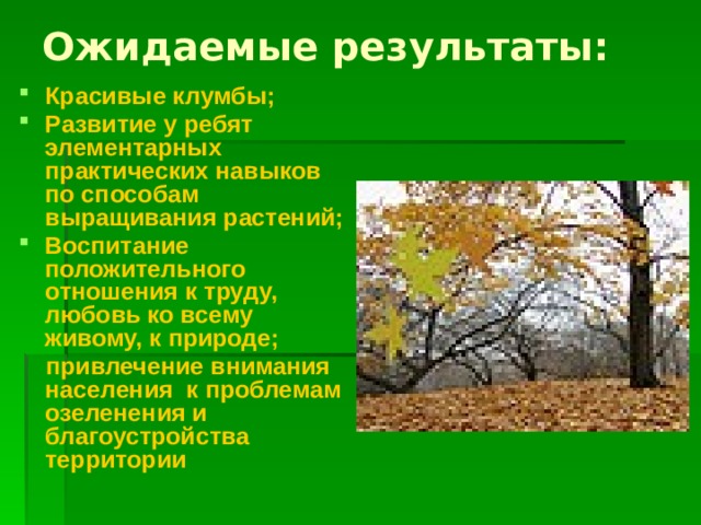 Ожидаемые результаты: Красивые клумбы; Развитие у ребят элементарных практических навыков по способам выращивания растений; Воспитание положительного отношения к труду, любовь ко всему живому, к природе;  привлечение внимания населения к проблемам озеленения и благоустройства территории  