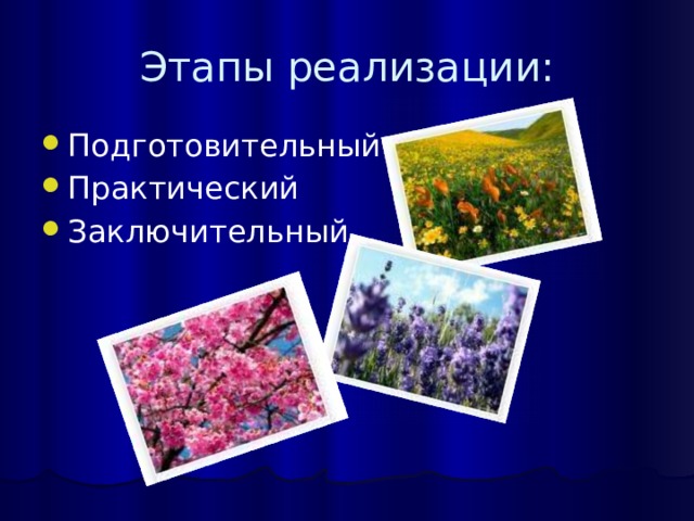 Этапы реализации: Подготовительный Практический Заключительный 