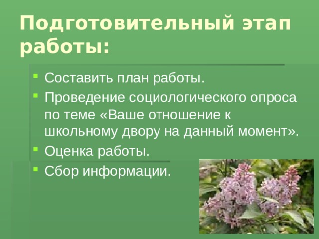 Подготовительный этап работы: Составить план работы. Проведение социологического опроса по теме «Ваше отношение к школьному двору на данный момент». Оценка работы. Сбор информации. 