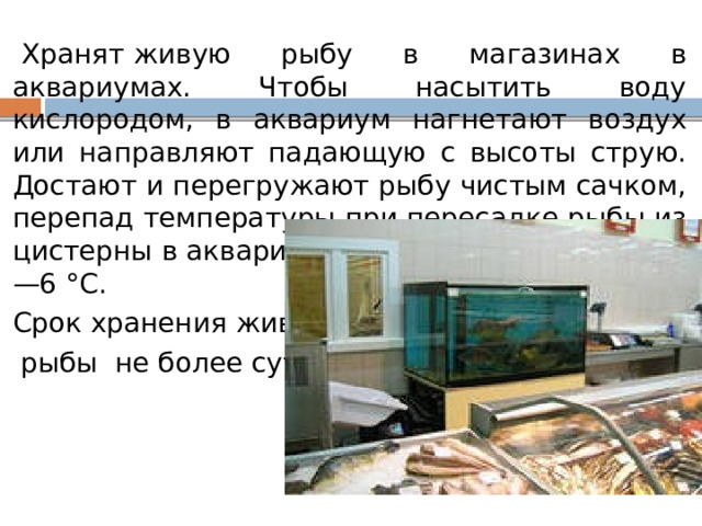   Хранят   живую рыбу в магазинах в аквариумах. Чтобы насытить воду кислородом, в аквариум нагнетают воздух или направляют падающую с высоты струю. Достают и перегружают рыбу чистым сачком, перепад температуры при пересадке рыбы из цистерны в аквариум должен быть не более 5—6 °С. Срок хранения живой  рыбы  не более суток. 