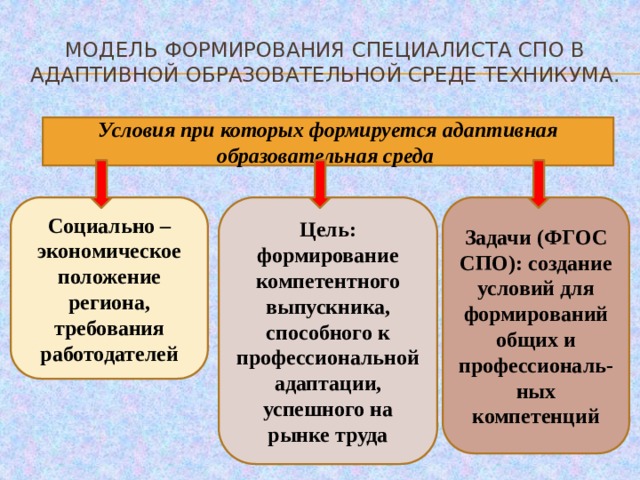 Презентация адаптированная образовательная среда образовательной организации