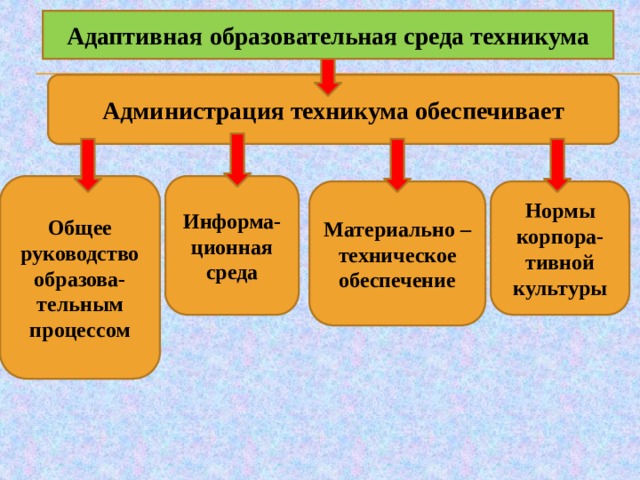 Презентация адаптированная образовательная среда образовательной организации