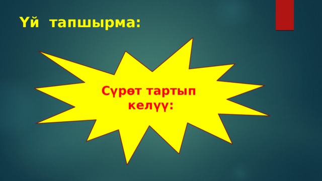 Үй тапшырма: Сүрөт тартып келүү: 