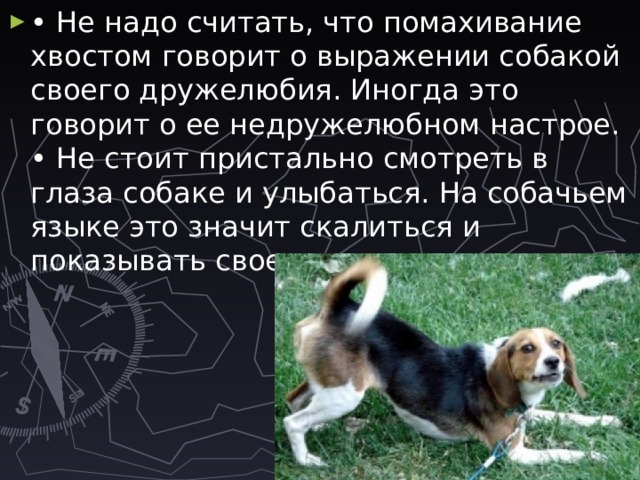 Что значит выражение собака