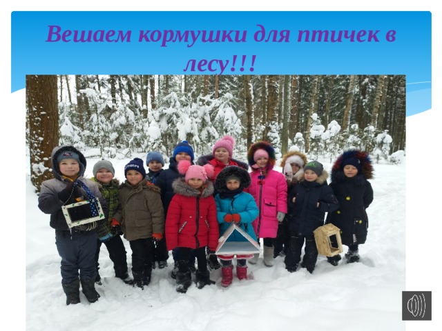 Вешаем кормушки для птичек в лесу!!! 