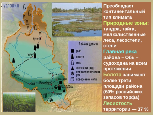 Ископаемые западно сибирской равнины