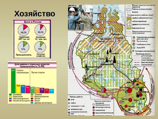 Диаграмма отраслевой структуры хозяйства западной сибири