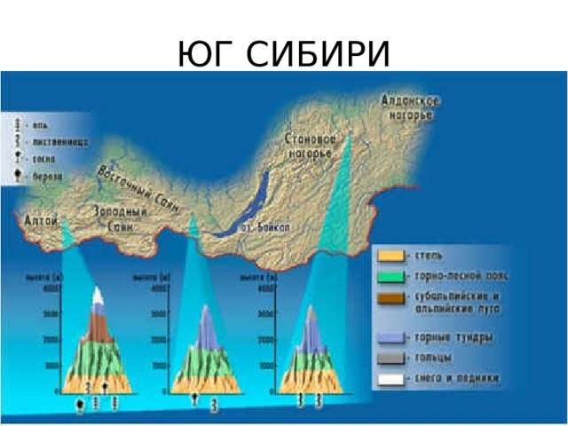 ЮГ СИБИРИ 