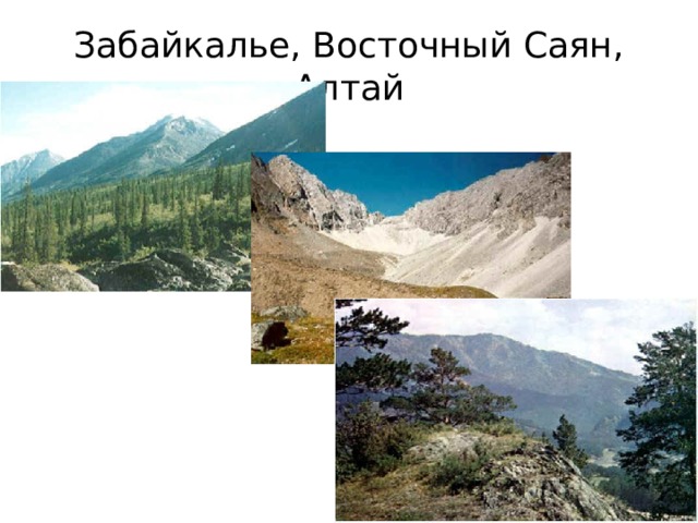 Забайкалье, Восточный Саян, Алтай 