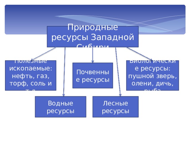 Каковы природные ресурсы Западно-Сибирской равнины?