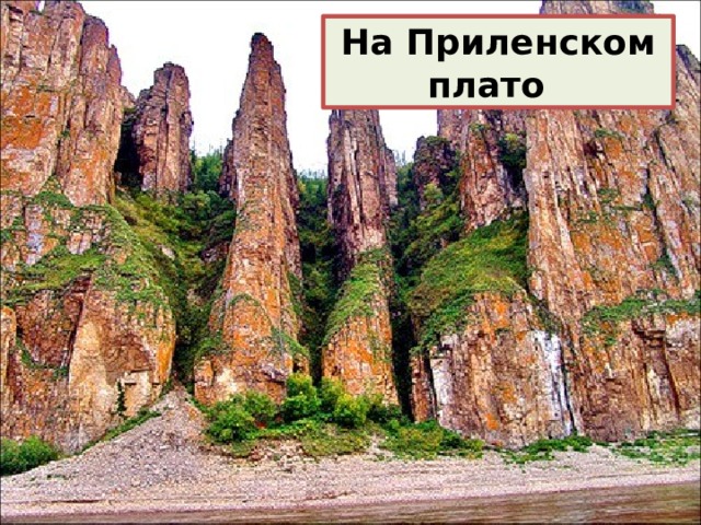 На Приленском плато 