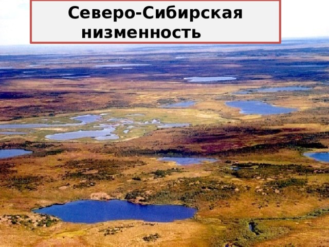 Северо-Сибирская низменность 