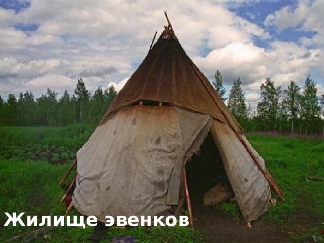 Жилище эвенков 