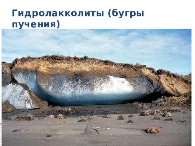 Гидролакколиты (бугры пучения) 