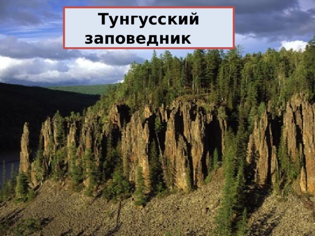 Тунгусский заповедник 