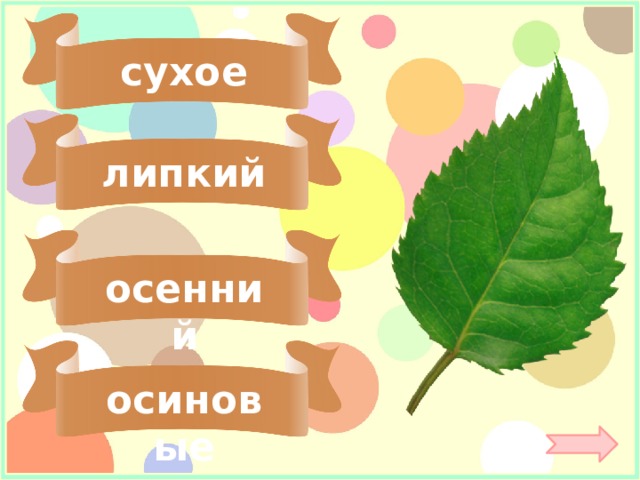 сухое липкий осенний осиновые