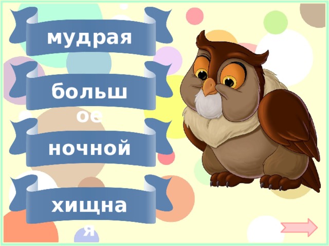 мудрая большое ночной хищная