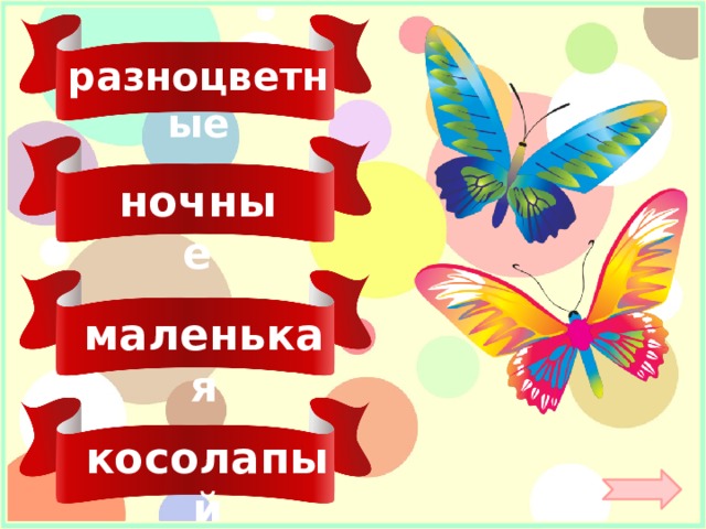 разноцветные ночные маленькая косолапый