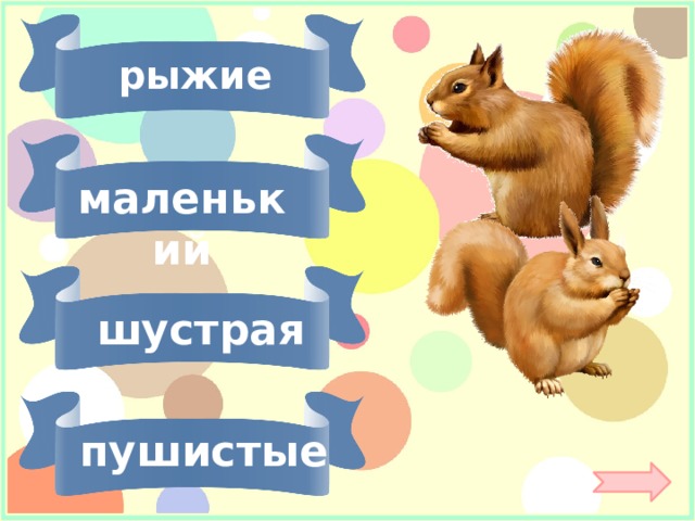 рыжие маленький шустрая пушистые