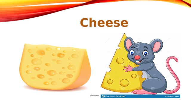 Cheese 