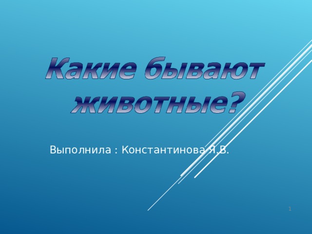 Выполнила : Константинова Я.В.  