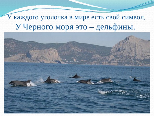 У каждого уголочка в мире есть свой символ.  У  Черного моря это – дельфины. 