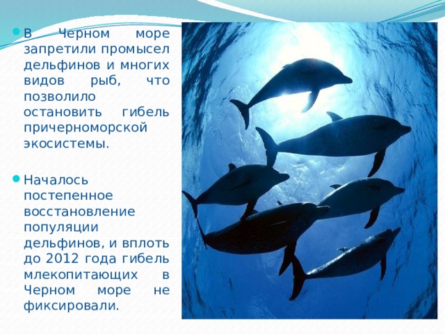 В Черном море запретили промысел дельфинов и многих видов рыб, что позволило остановить гибель причерноморской экосистемы. Началось постепенное восстановление популяции дельфинов, и вплоть до 2012 года гибель млекопитающих в Черном море не фиксировали. 